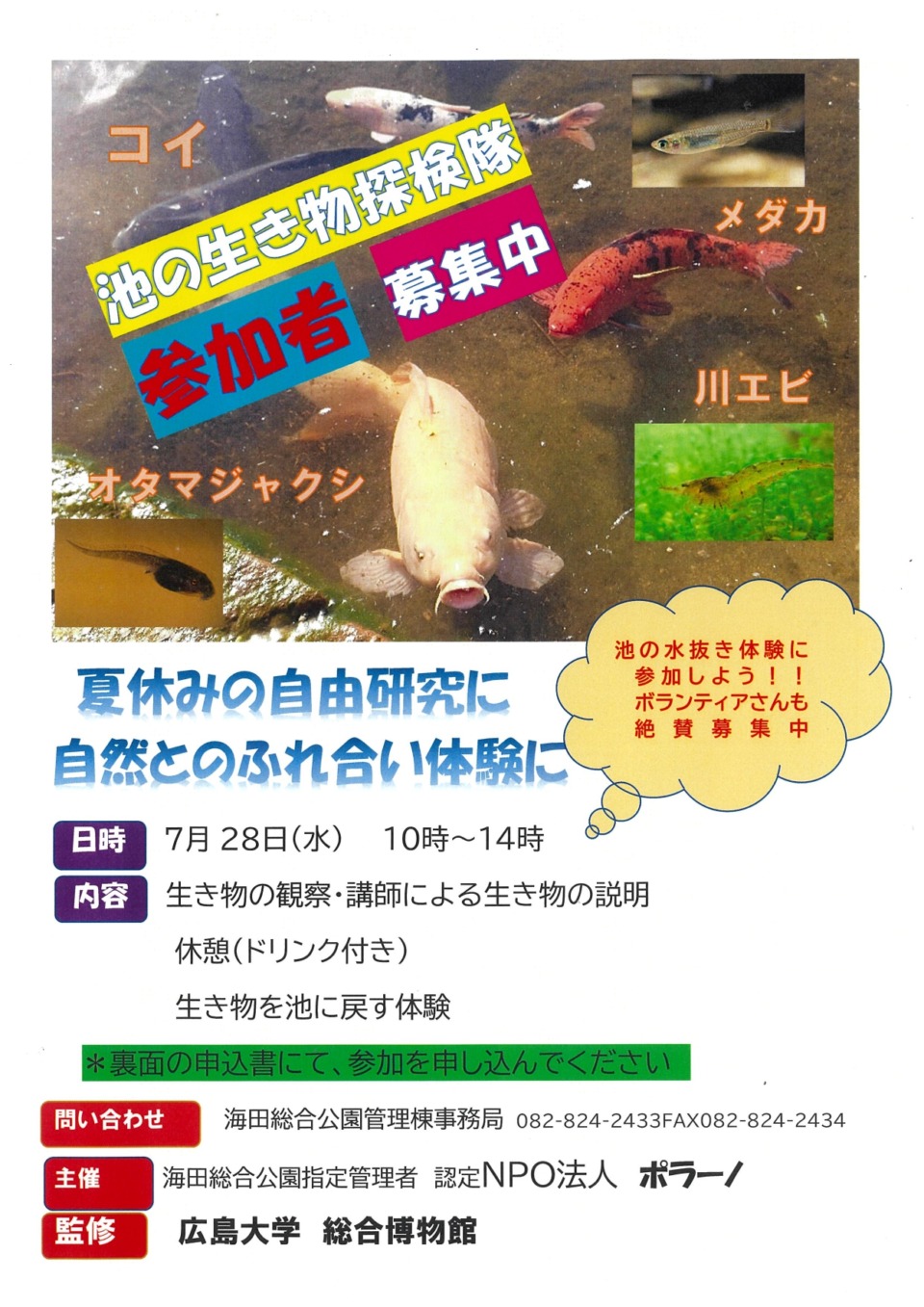 池の生き物探検隊